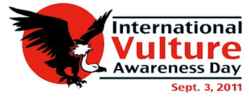 Vulture day